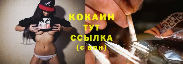 шишки Армянск