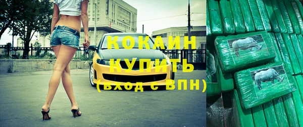 шишки Армянск