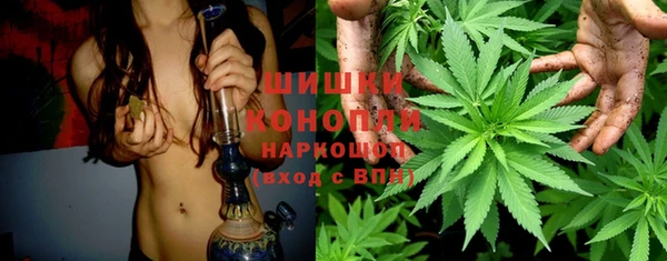 не бодяженный Аркадак