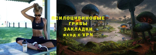 не бодяженный Аркадак