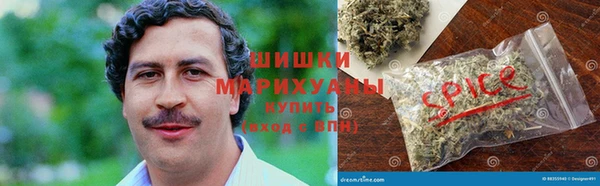 шишки Армянск
