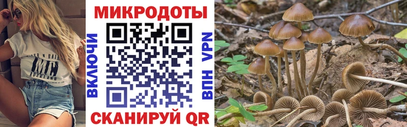 Псилоцибиновые грибы Magic Shrooms  Купить  Туран 